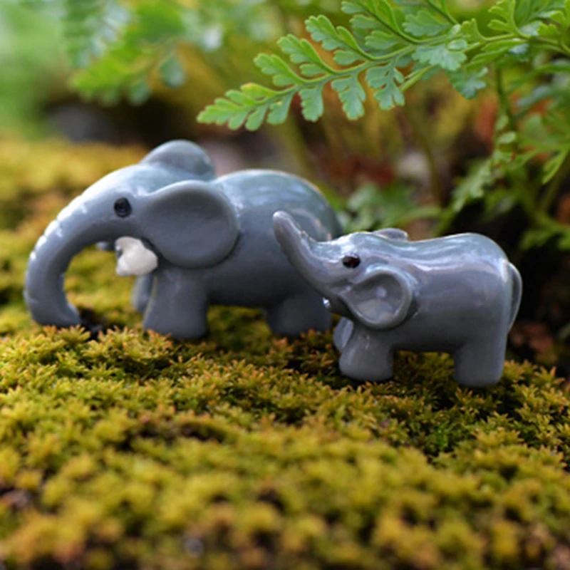 2466062463_393786582