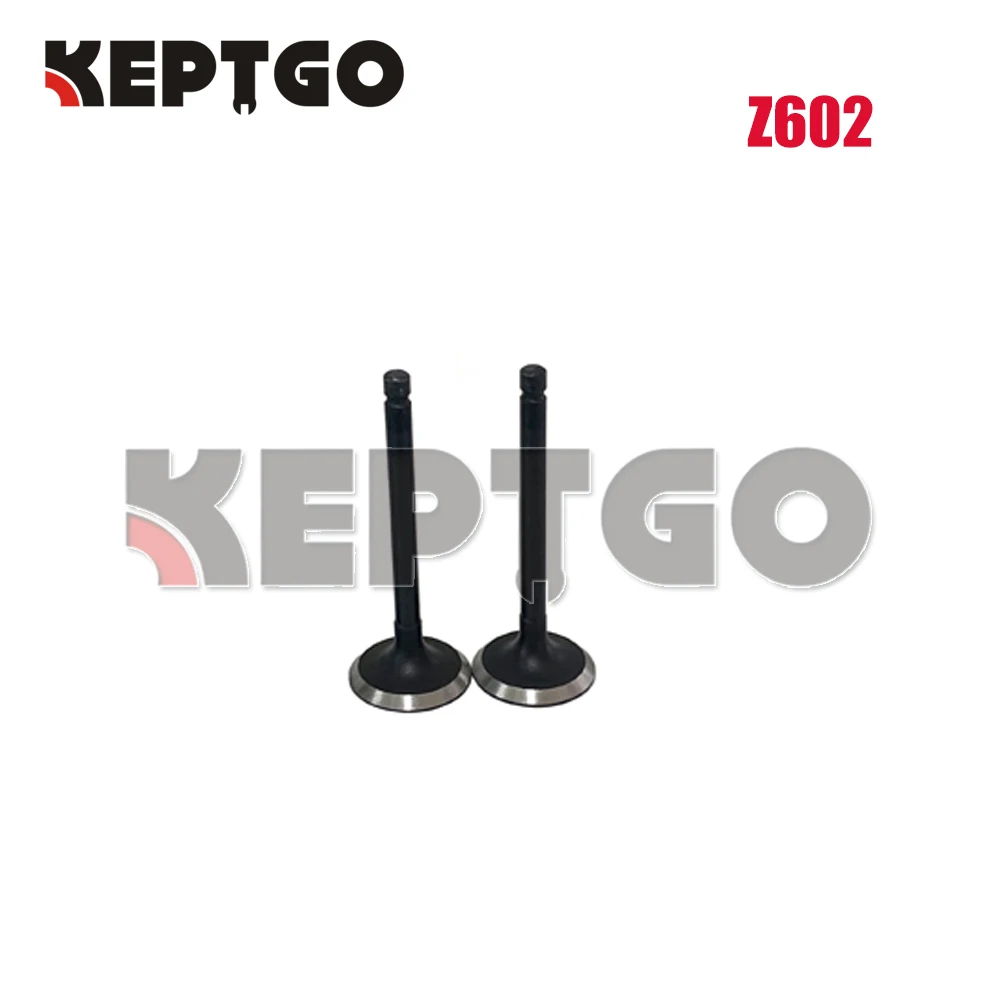 

New Z602 Intake Valve For Kubota