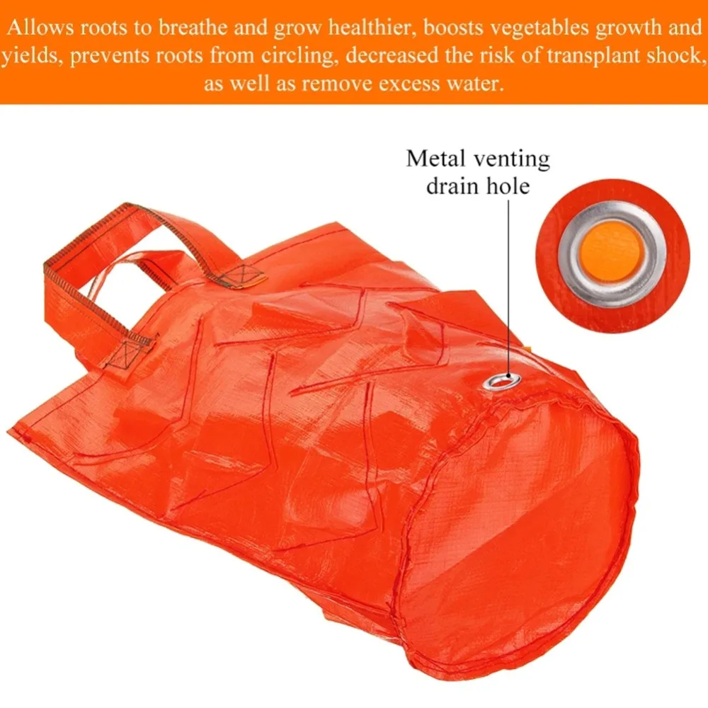 e3177b3f3246d2626fe2700be4a0e0d5