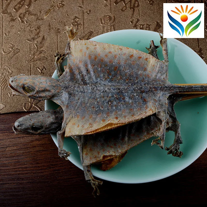 

Chinese Hearbs Ge Jie GeckoToad-Headed Lizard
