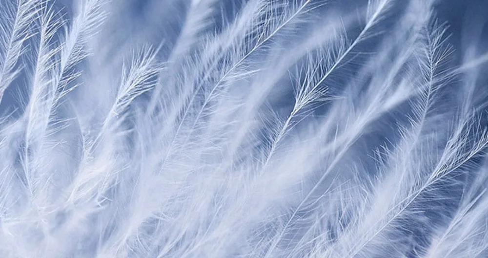 20191017_161306_207