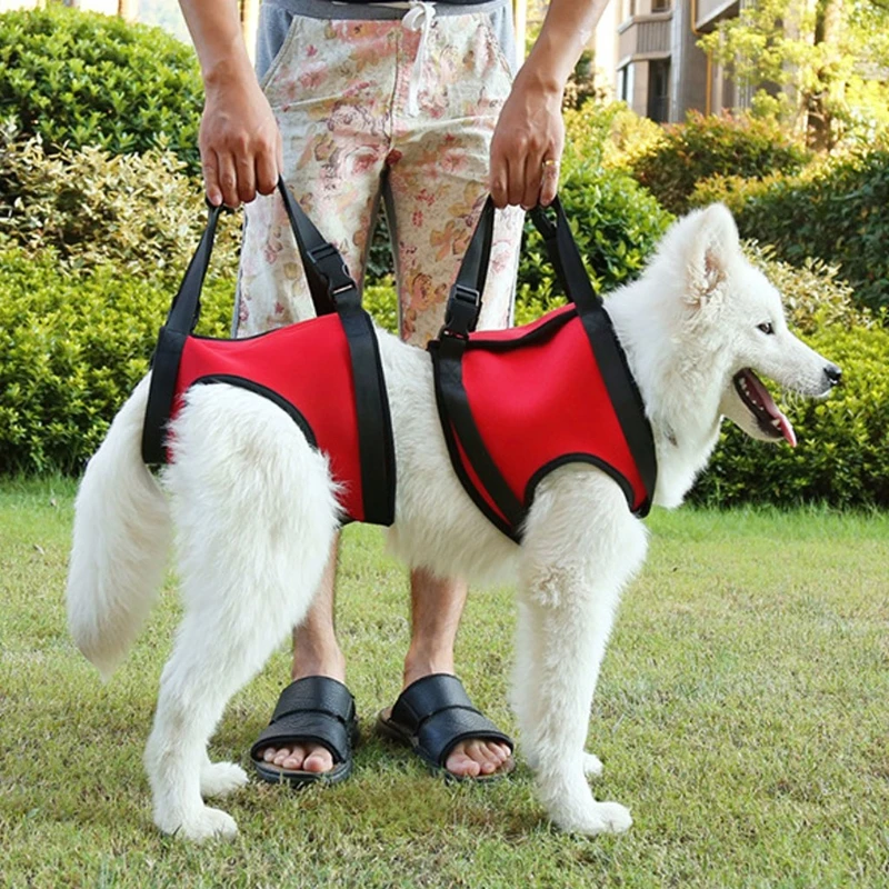 Dog Lift Support And Rehab Harness For Weak Rear Legs Poor Stability Dogswalking Soft Sling