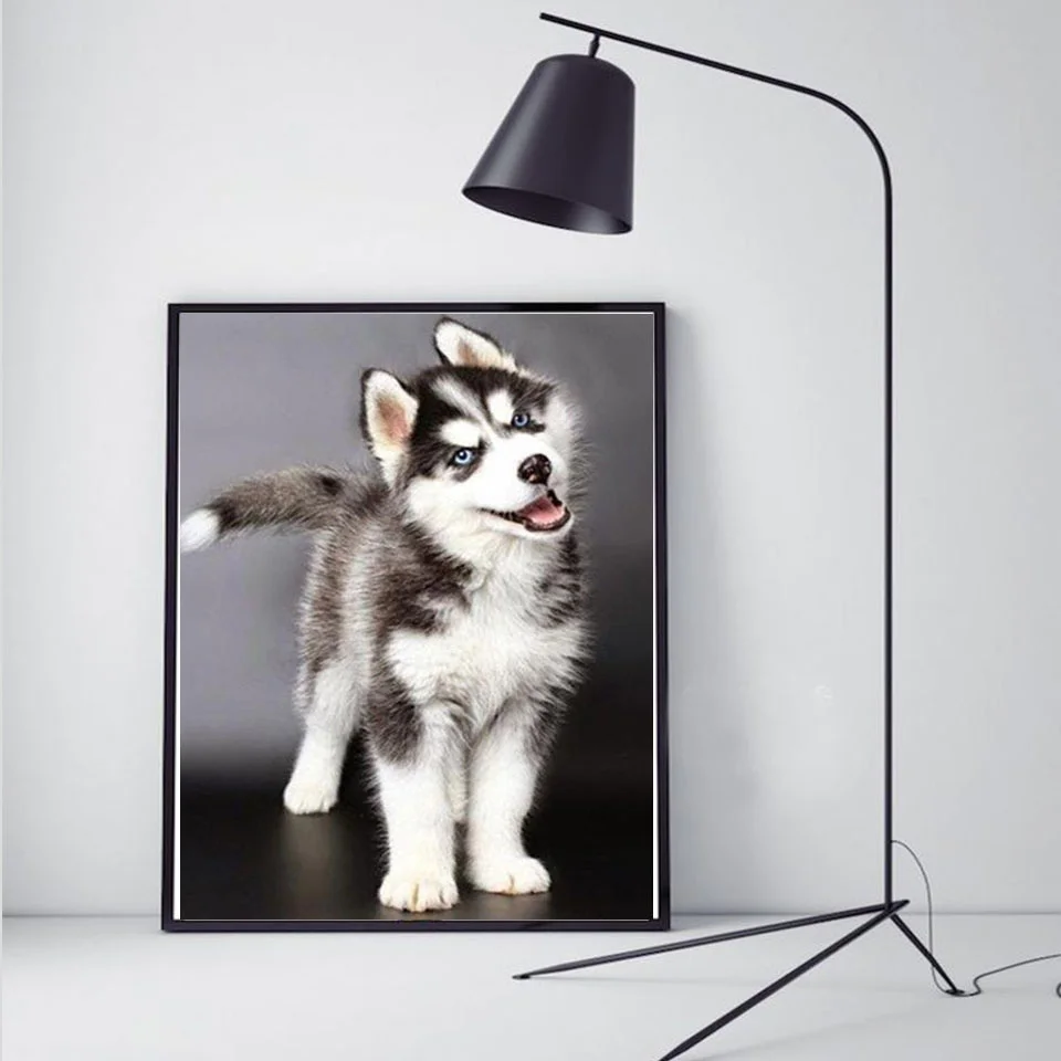 Broderie diamant "Husky" , diamond painting husky
