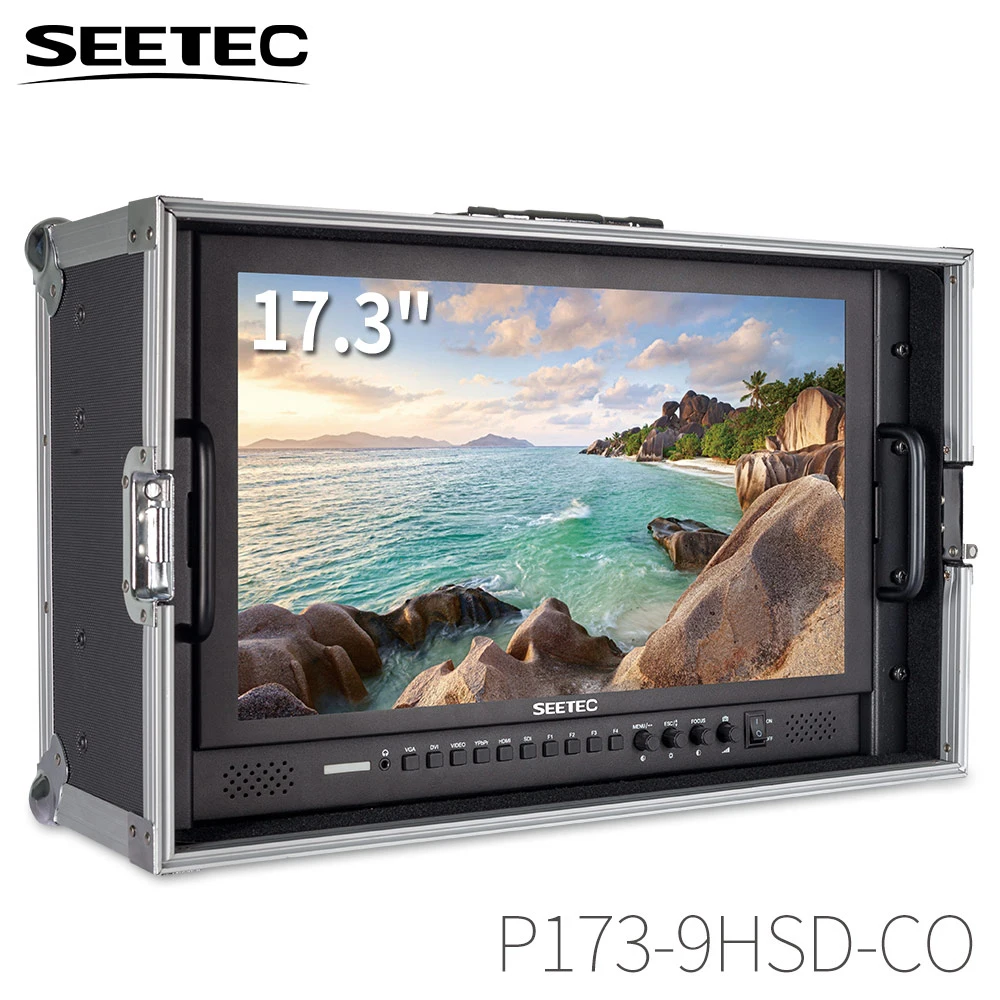 

Seetec P173-9HSD-CO 17.3 Inch IPS 3G-SDI HDMI-compatible Monitor with AV YPbPr Carry-on LCD Director Monitor with Suitcase