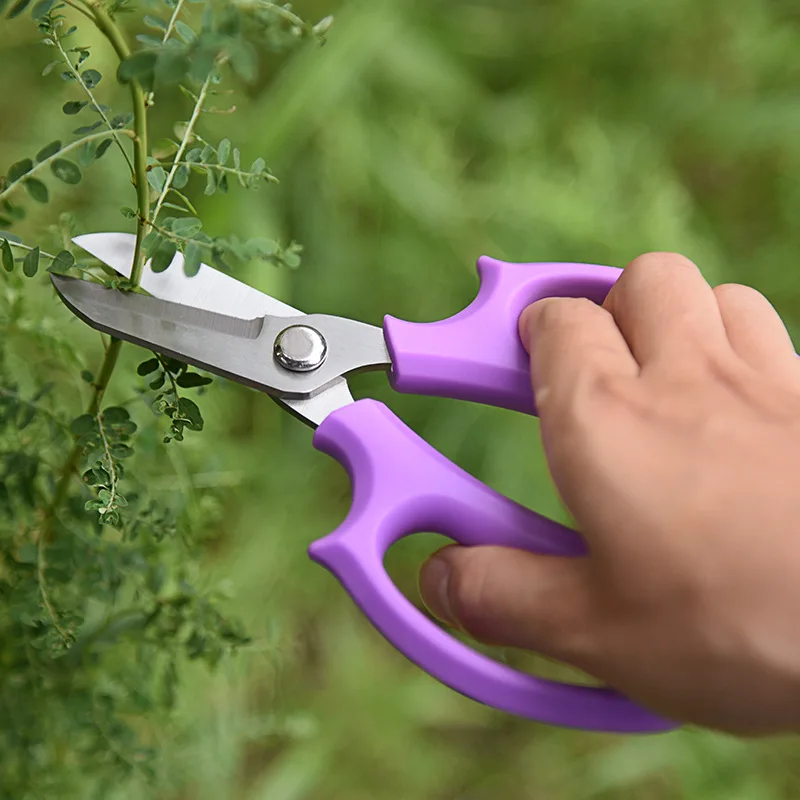

SHUOJI Flower Scissors Stainless Steel Garden Pruning Scissors Tree Shears Gardening Scissors Branch Pruner Cutter Flower Shop