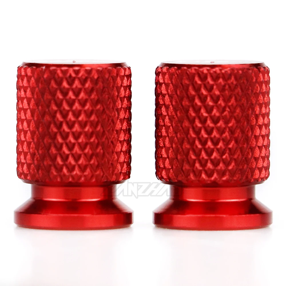 DUCATI MONSTER TIRE VALVE (2)