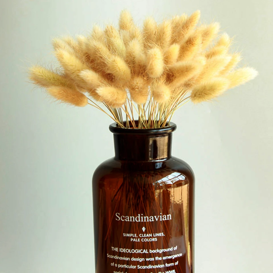 dried natural flower  (4)