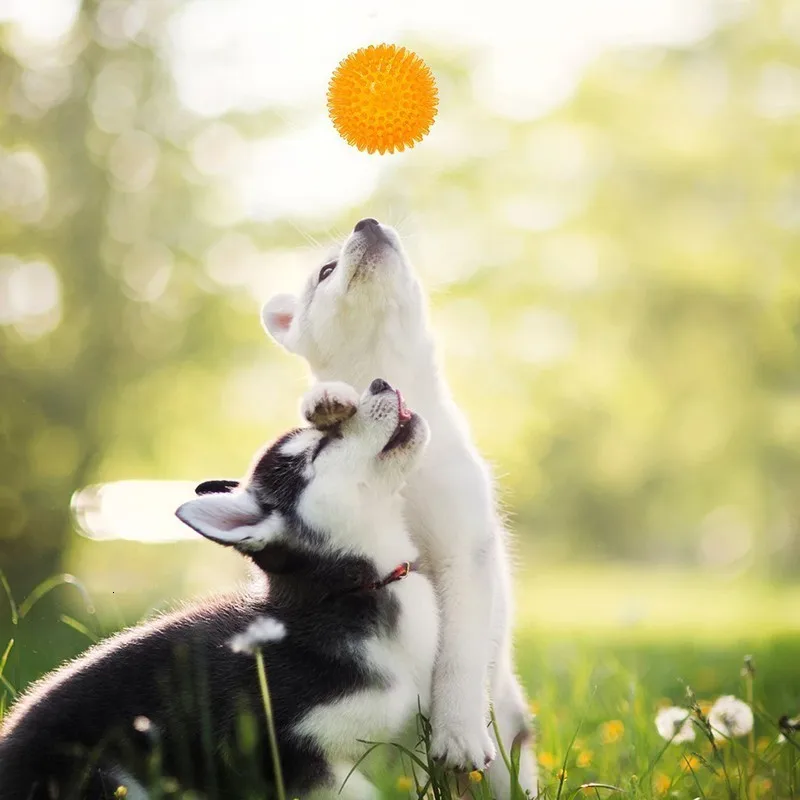 Benepaw безопасная Чистящая игрушка для чистки зубов, игрушка для собаки, интерактивная игра, высокая эластичная маленькая, средняя, большая собака, мяч, прочная жевательная игрушка для щенков, игра
