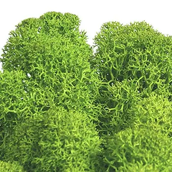 

Simulation decoration Artificial tree natural Moss Vegetable painting Christmas Potted-Ornaments Tree-Pot Plants