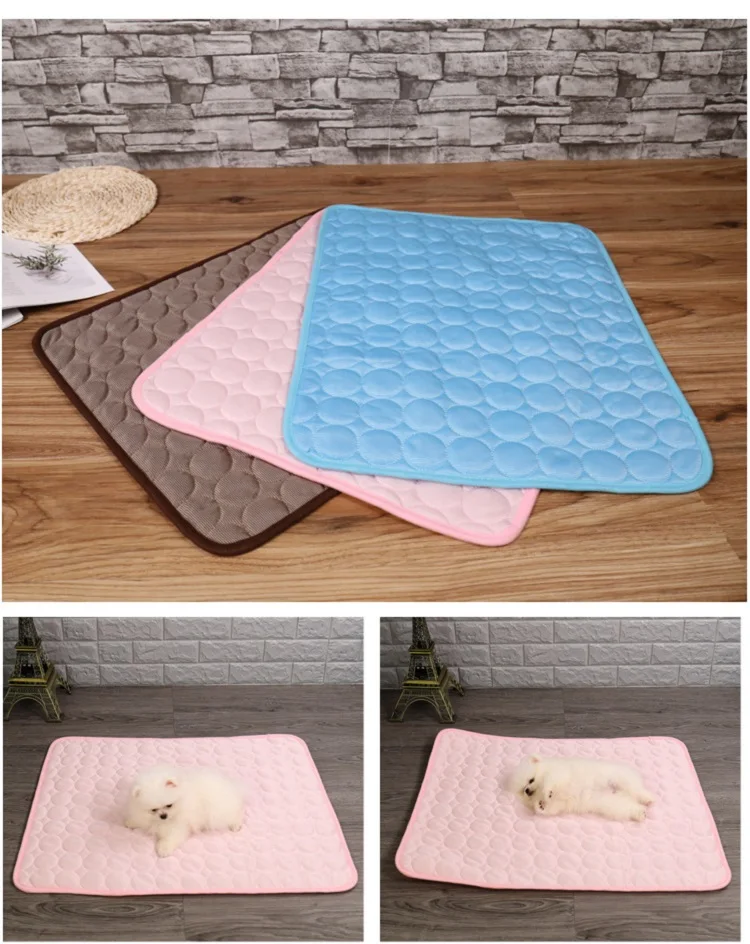 11525838414_892870399