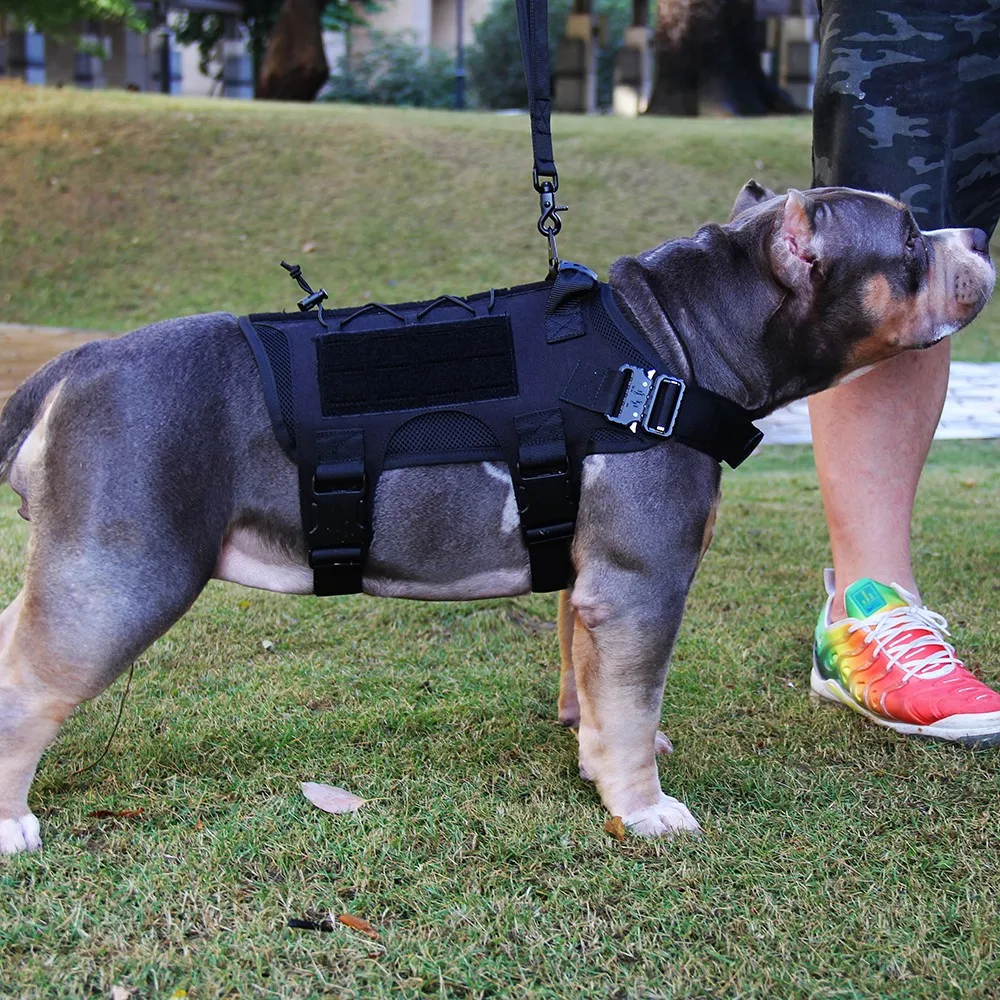 Military Dog Vest Breathable Tactical Dog Clothes Harness Adjustable MOLLE Training Harness For Ser