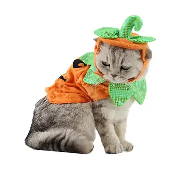 

Pet Halloween Supplies Pumpkin Set Halloween Top Hat Costume For Pets Halloween Pumpkin Costume For Pets