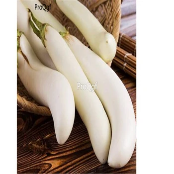 

Ngryise 6000Pcs A Set white Long Eggplant