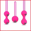 Smart Kegel Balls Vagina Ball Safe Silicone Geisha Ball Ben Wa Ball Vibrator Vaginal Tighten Exercise Machine Sex Toys for Women 1
