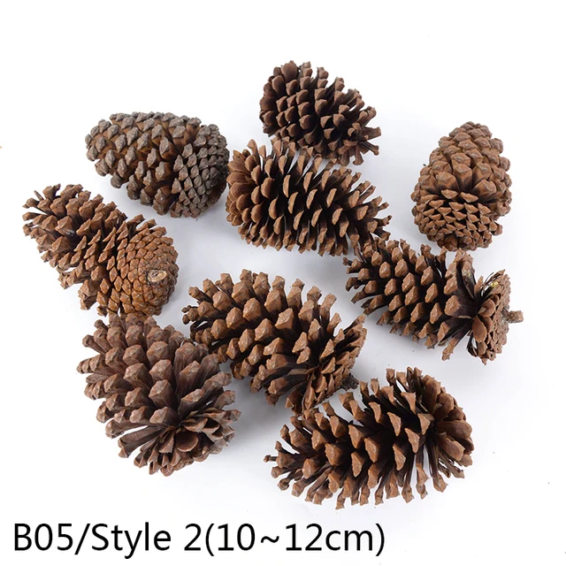 1-10pcs Natural Pine Nuts Fruit Dried Artificial Flower Pineapple Cones for Christmas DIY Garland Wreath Wedding Home Decoration B05-1pc