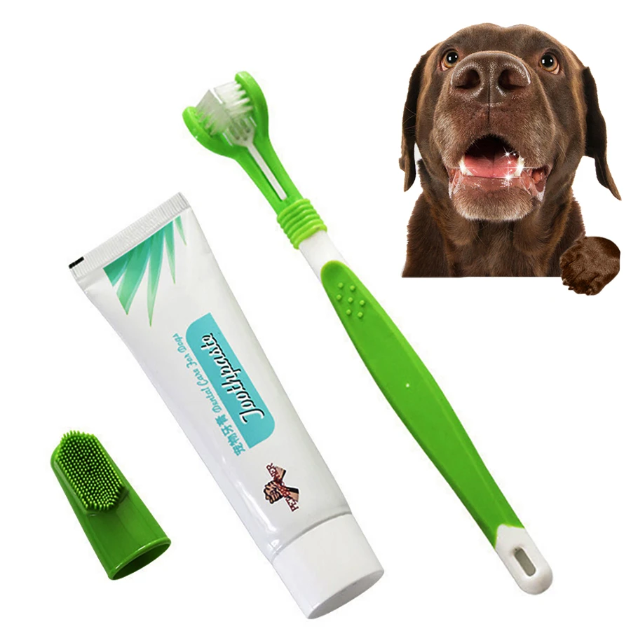Is Toothpaste Bad For Dogs