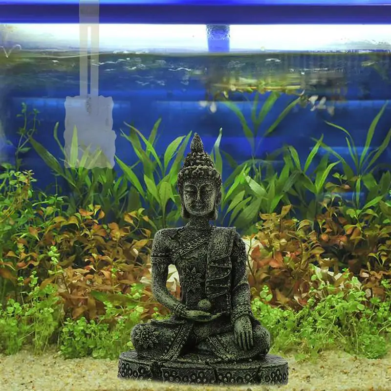 aquarium buddha setup