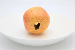 simulation prop Pomegranate Simulation Fruit And Vegetable False Teaching Props Dining Room Decoration Finished Goods Unisex