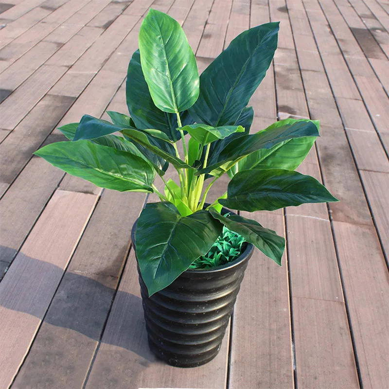 2857094384_451180499