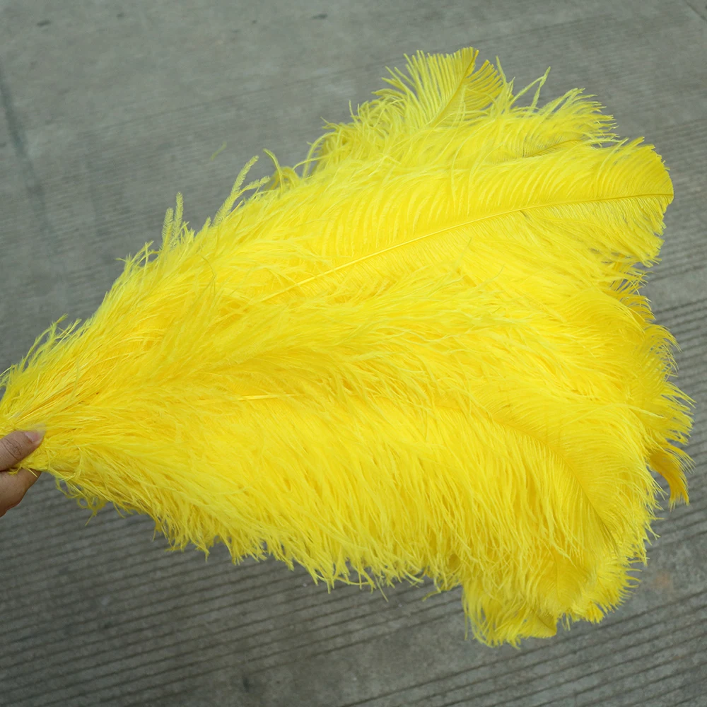 TS0165009 65-70cm ostrich feathers 2