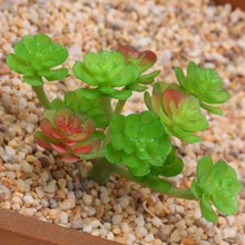 1 шт. искусственные 11 Феи суккулентные растения декоративные колья и ветровые блесны реалистичный цветочный сад для дорожек Декор