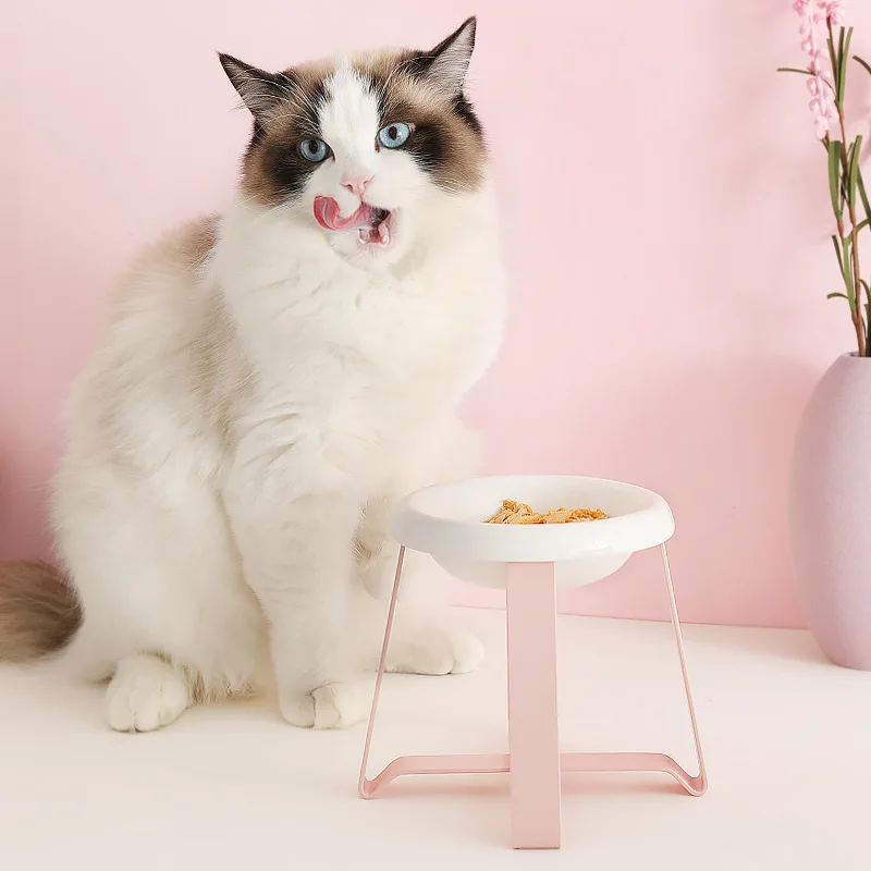 

Pet Bowl Dog Cat Rice Bowl High Foot Cat Food Bowl Protection Cervical Vertebra Cat Bowl Ceramic Pet Bowl