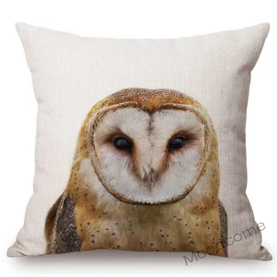 conew_t215 (22) 副本