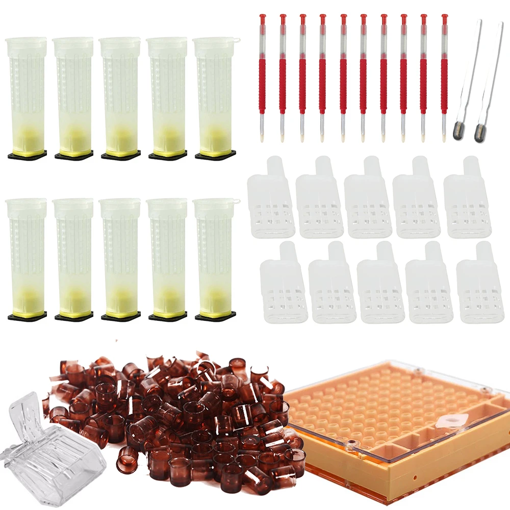 Complete queen rearing cup kit system bee beekeep catcher box /& 100 cell cupODUS