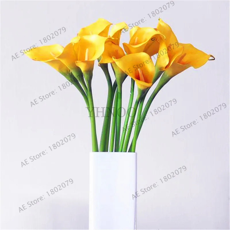 103 шт смешанные цвета Calla, calla lily plantas, редкий прекрасный бонсай цветок Флорес, горшок для домашнего сада и двора