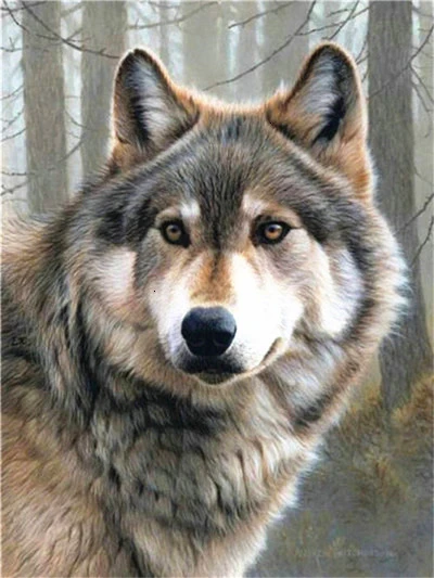 HUACAN 5D Алмазная вышивка животные Алмазная мозаика волки подарок ручной работы - Цвет: 3858