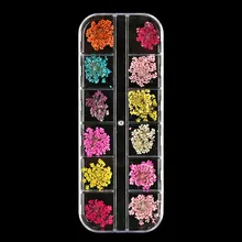 Маникюрный Инструмент, 12 цветов, высушенный цветок для ногтей, ювелирные изделия, красивые и прочные наклейки для ногтей, высушенный цветок, украшение, Крист