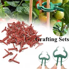 50PCS/31PCS Flat and Round Grafting Clips Garden Durable Tomato Vegetable Plant Support Reusable Tools Agriculture Fixing Clamps