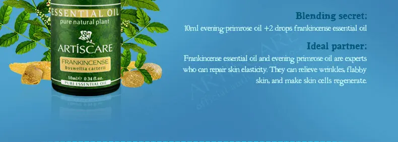 evening-primrose_11