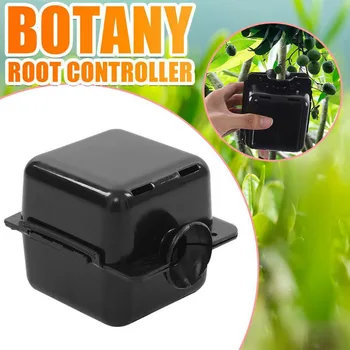 

3/5/10pcs Square Plant Rooting Ball Grafting Rooting Growing Box Breeding Case For Garden Plant High-pressure Propagation Box