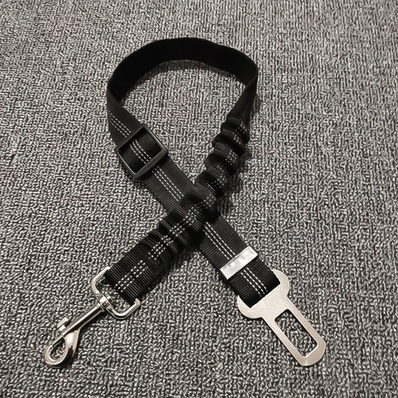 10997164623_575051838