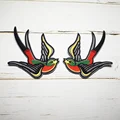 Colorful Swallow