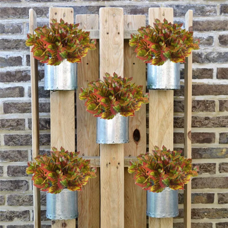 71TfGzpo+yL._SL1000_