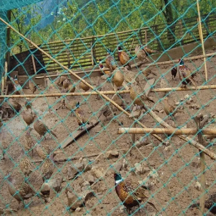 Рисунок 4 - Сетка с 9 нитями против птиц