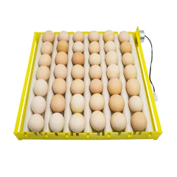 

Hot Selling Chicken Duck Quail Goose Bird Poultry Eggs Tray Farm Incubation Roller Egg Tray With Motor Turn The Eggs