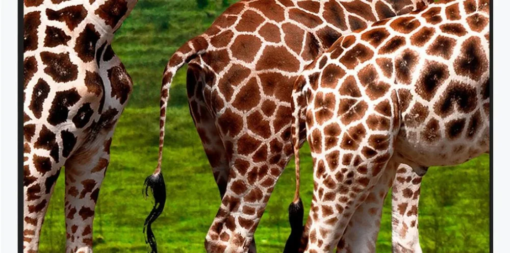 360截图20200310212007273