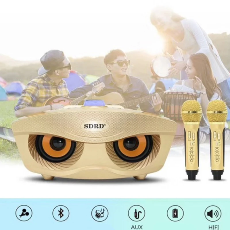 SD306 Dual Bluetooth Speaker sd306 karaoke speaker