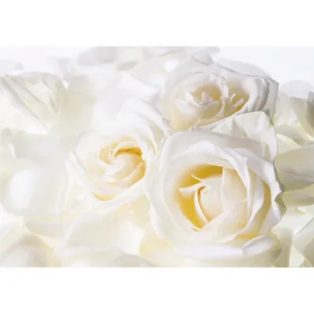 

Photo wallpaper 2800*2000mm 8 sheets series flowers "innocence" white roses к-011 paper 150g/m2