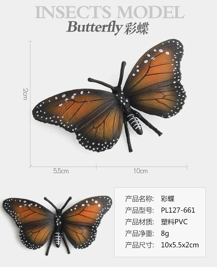 9006339355_1793268619