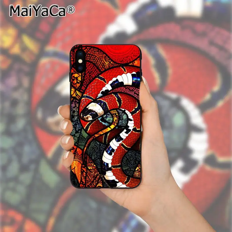 Coral snake animal