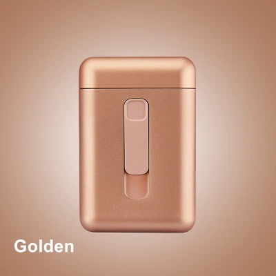 Портативный портсигар с электрическая зажигалка с подключением к USB держатель для табака для 20 шт обычные Cigarrera Плазменные дуговые зажигалки мужские подарки - Цвет: Golden