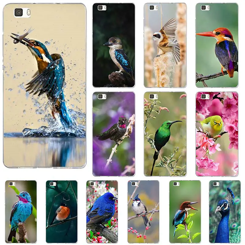 Cute Beautiful Nature Birds for Huawei P8 P9 P10 P20 Lite Mate 10 Pro Y5 Y6 II Y7 Honor 6X 7X 9 Soft TPU Silicone Phone Cases | Мобильные