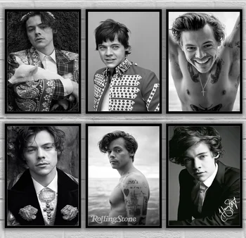 

Harry Styles,Singer,Music Poster, Wall Painting,Wall Art Canvas,Gift Idea, Birthday (No Frame)