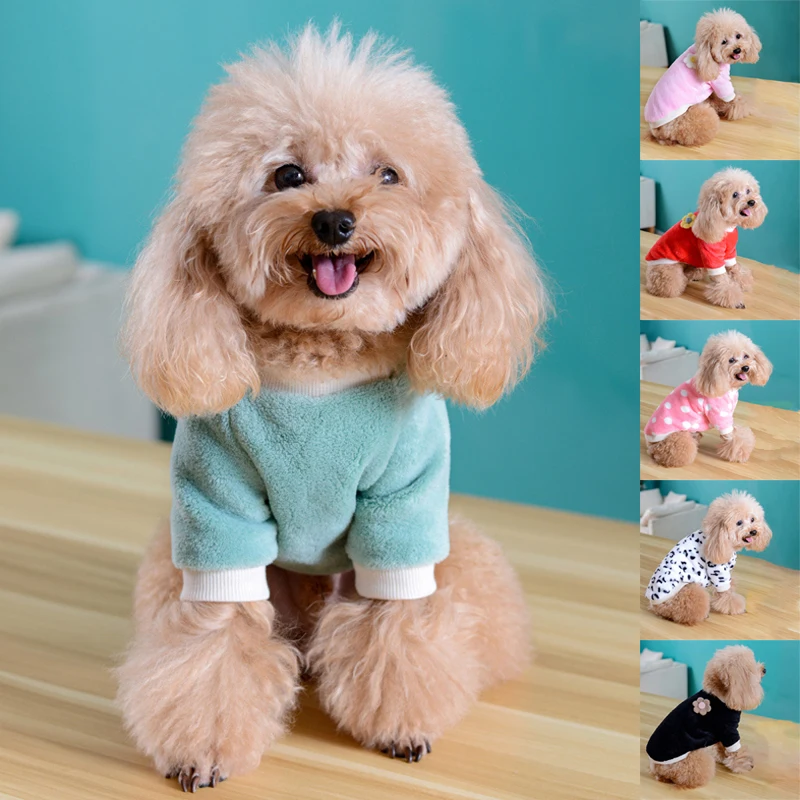 AutumnWinterPetClothesCatSweetCoralVelvetCostumeSmallMedium