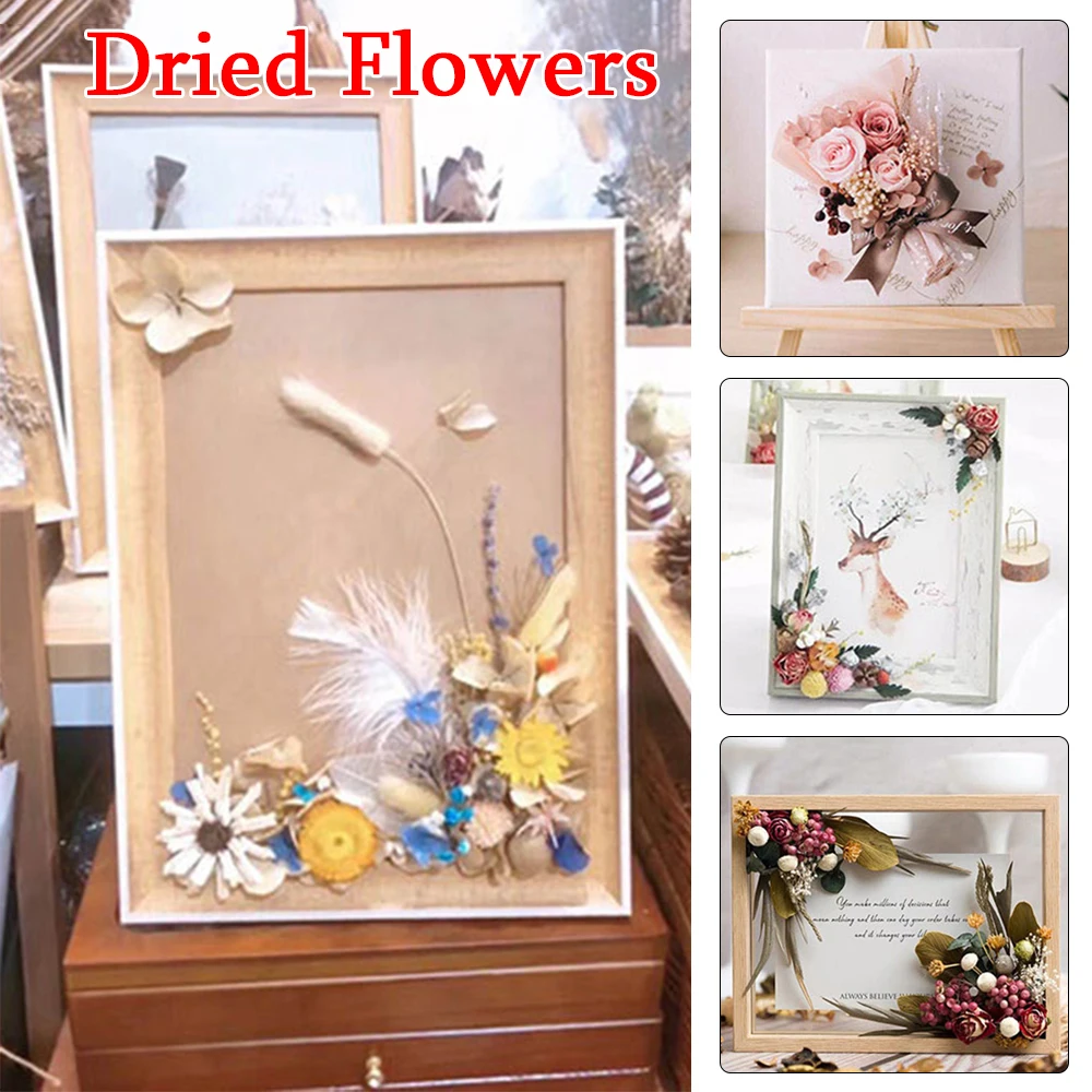 Dried Flower A Box Aromatherapy Floating Flowers Heads Making Craft DIY Greeting Cards Hand-Made Botanical Painting Decor | Дом и сад