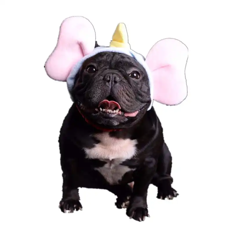 hats for dogs with big ears